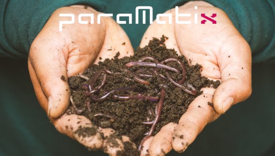 Paramatix İş Kurmak Bayilik Veren Firmalar Para