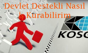 Devlet Destekli Nasıl İş Kurabilirim ?