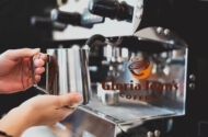 Gloria Jeans Bayilik Şartları – Franchise Bedeli Ne Kadar?